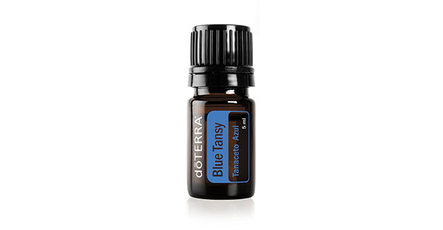Blue Tansy Óleo Essencial