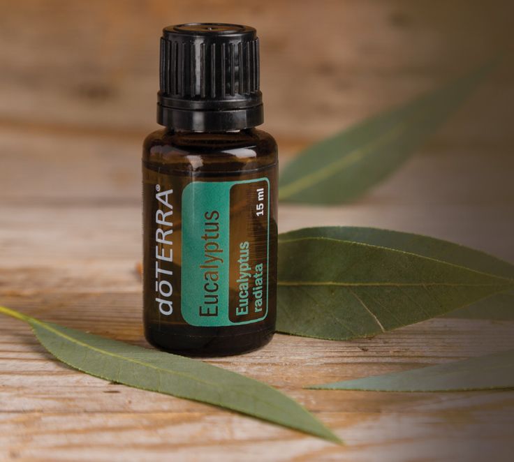 Eucalyptus Mix de Óleos Essenciais