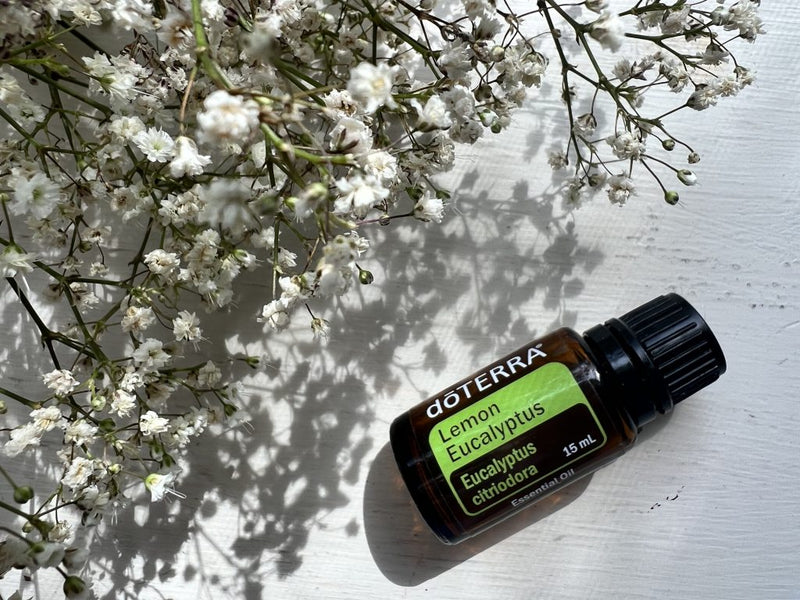 Lemon Eucalyptus Óleo Essencial